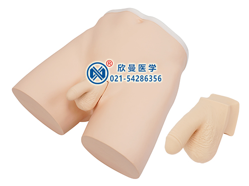 XM-T33輸精管結(jié)扎術(shù)訓(xùn)練模型,輸卵管結(jié)扎術(shù)訓(xùn)練模型