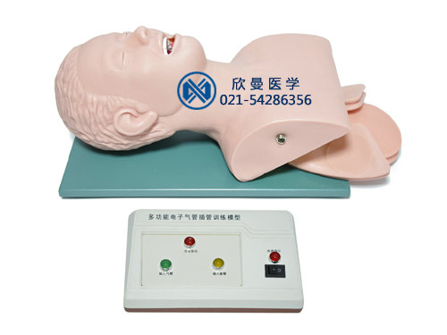 電子人體氣管插管監(jiān)測(cè)考核指導(dǎo)模型