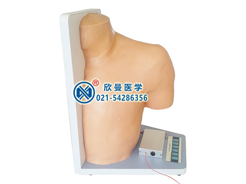 肩關節(jié)腔內注射操作模型