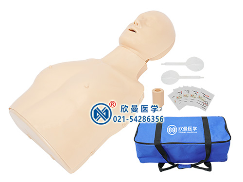 XM/CPR170可調(diào)式成人與兒童心肺復(fù)蘇模擬人
