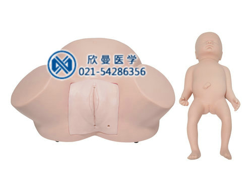 助產(chǎn)模型，助產(chǎn)示教模型