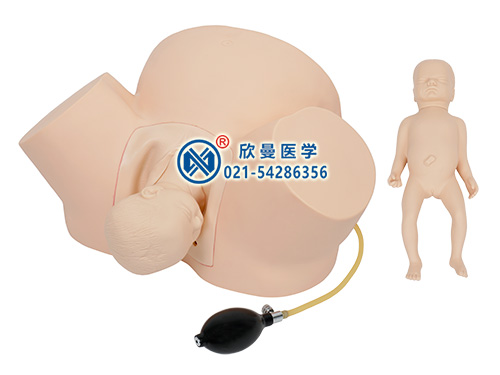高級難產(chǎn)示教模型整體結(jié)構(gòu)