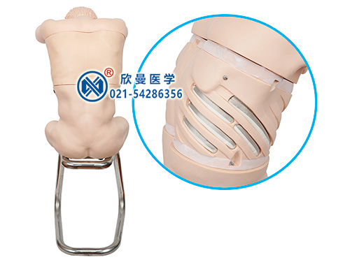 XM-L260B綜合穿刺術(shù)訓(xùn)練模擬人
