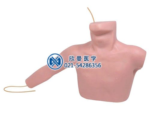 外周穿刺、中心靜脈導(dǎo)管插入模型