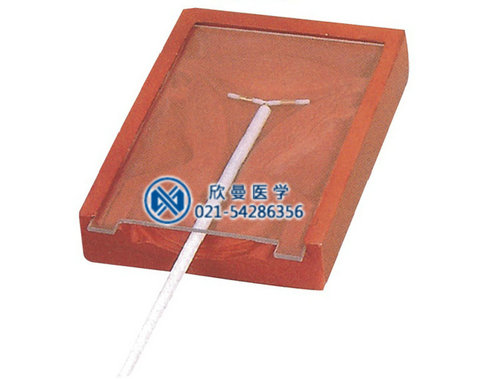 高級女性宮內(nèi)避孕器訓(xùn)練模型