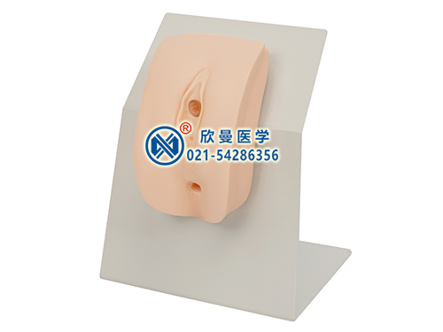 XM-28F著裝式女性導(dǎo)尿模型