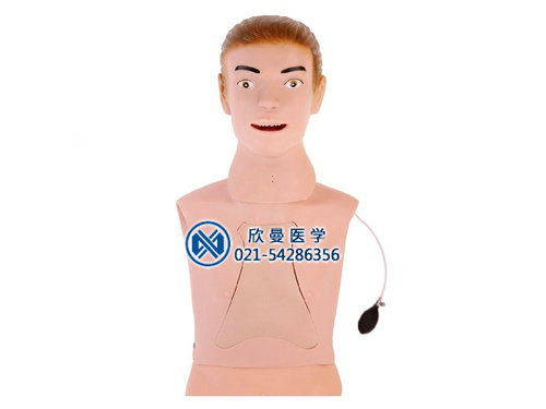 高級鼻胃管與氣管護(hù)理模型