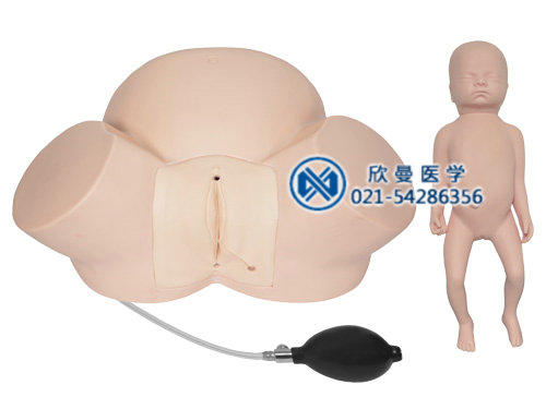 高級難產(chǎn)示教訓練模型