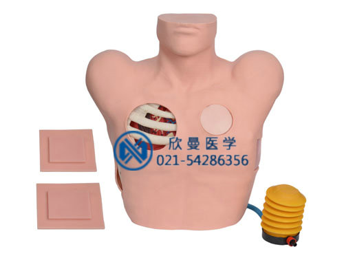 胸腔穿刺模擬人，胸腔穿刺模型人采用電子控制，可自動注入液體。