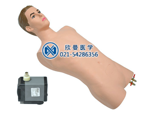 腹腔穿刺模擬人，模型