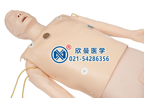 氣管插管、除顫起搏