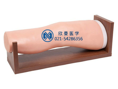 膝關節(jié)腔內注射模型