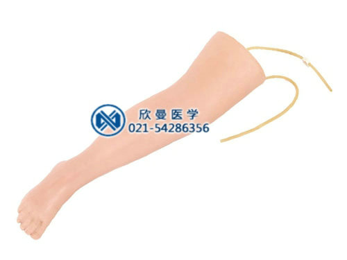 高級(jí)靜脈輸液腿模型