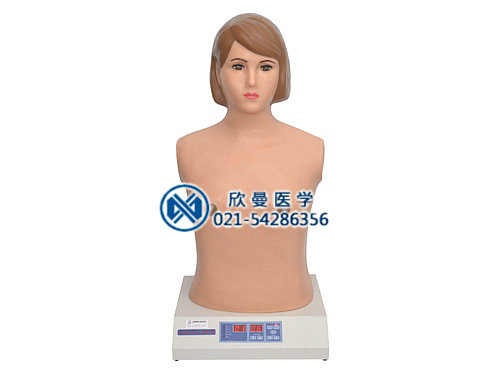 心肺音聽診模擬人，心肺聽診模擬人