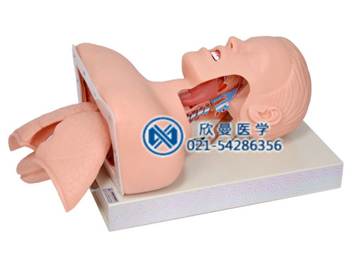 氣管插管監(jiān)測(cè)考核指導(dǎo)模型