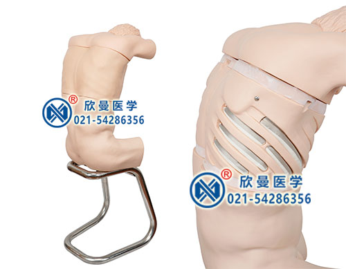 胸腔穿刺模擬人