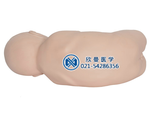 新生兒腰椎穿刺模型，小兒腰穿模型