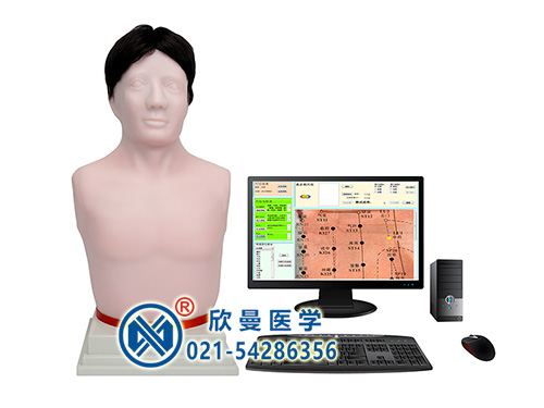 經(jīng)穴學及針刺仿真訓練系統(tǒng)