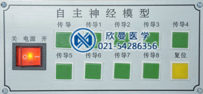 自主神經(jīng)電動模型控制按鈕