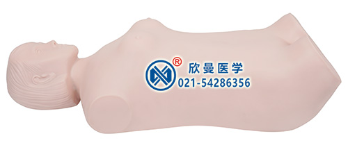 全自動腹部觸診聽診模擬人整體結構