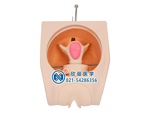 計劃生育教育模型整體結(jié)構(gòu)