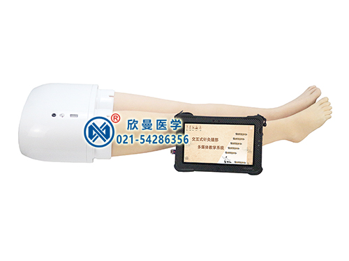 XM-ZCT-2多媒體交互式針灸腿部訓(xùn)練模型教學(xué)系統(tǒng)