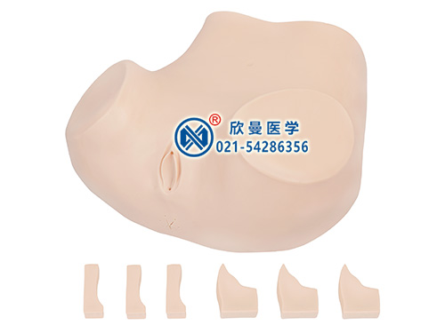 XM-F51陰道后穹窿穿刺模型,陰道后穹窿穿刺監(jiān)測考核指導(dǎo)模型