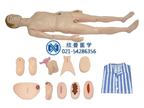 高級成人男性護(hù)理模擬人