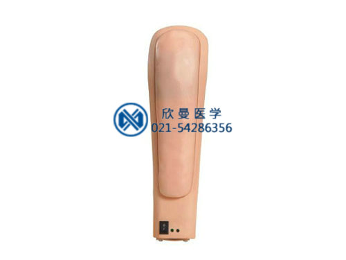高級電子上臂肌肉注射訓(xùn)練模型,佩戴式上臂肌肉注射模型