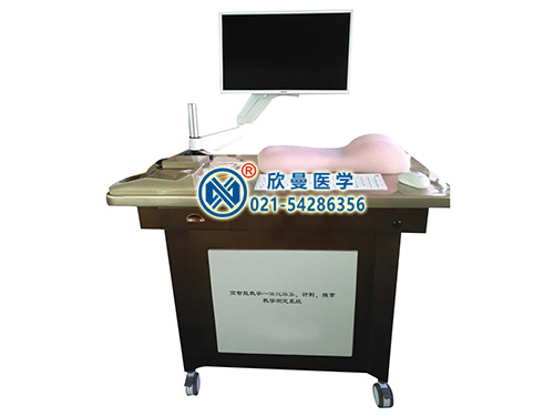 高智能數(shù)字—體化脈象、針刺、推拿、體質(zhì)辨識(shí)、問診教學(xué)測定系統(tǒng)