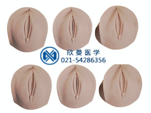 產(chǎn)前宮頸變化與產(chǎn)道關系模型