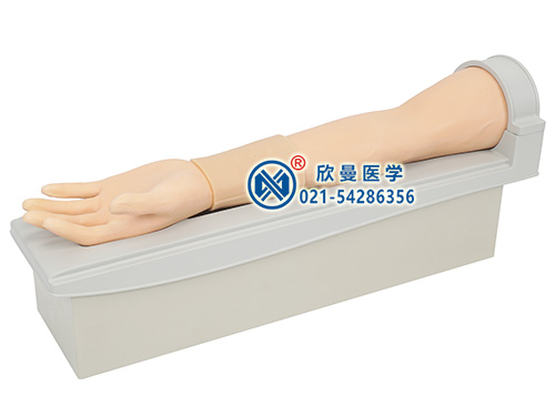 旋轉式皮內(nèi)注射及靜脈穿刺手臂模型整體構造