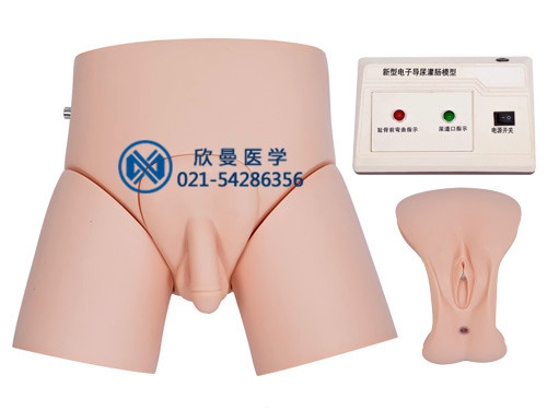 電子監(jiān)測男性導(dǎo)尿模型