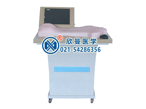 XM-ZC-D背部仿真穴位針灸練習(xí)和考試系統(tǒng),背部針刺練習(xí)平臺